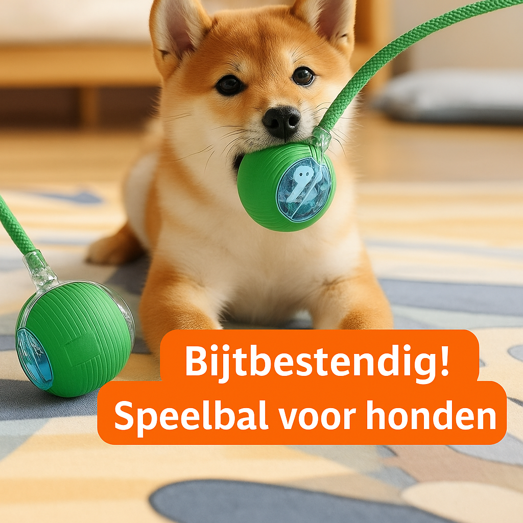 TOMARI ACTIVEPAW™ | UREN MENTALE ENERGIE AFVOER