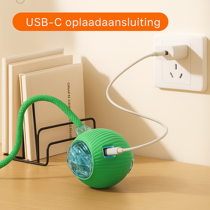 TOMARI ACTIVEPAW™ | UREN MENTALE ENERGIE AFVOER