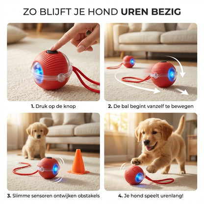 TOMARI ACTIVEPAW™ | Geen verveelde hond meer in huis